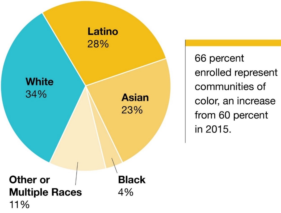 Plan selections by ethnicity