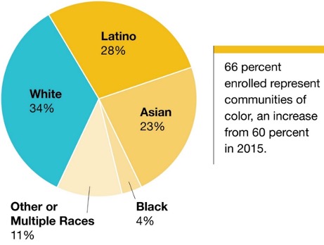 Special and Open Enrollment Plan Selection by Ethnicity pie chart